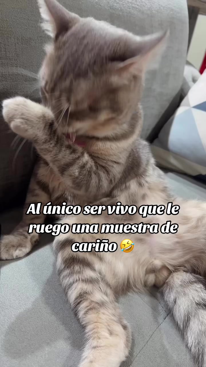 @ale_garciar0