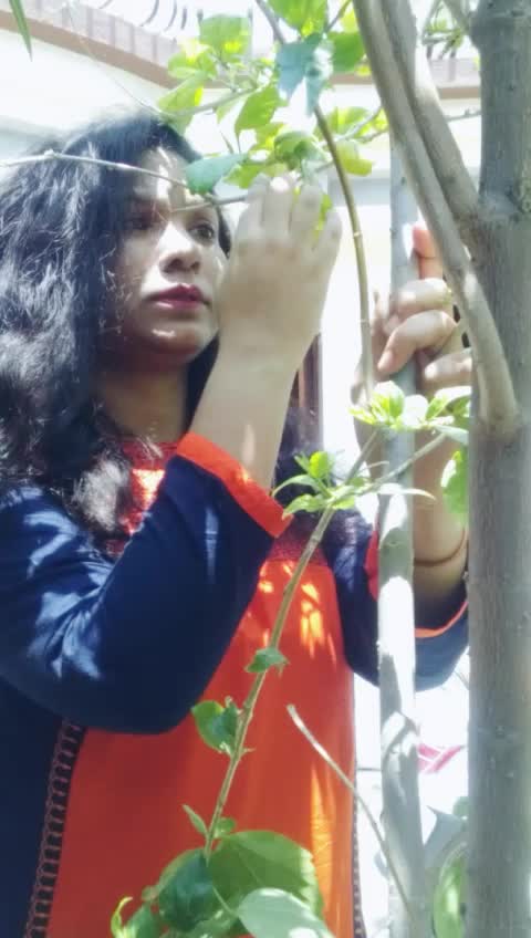 @Shweta Kadukar
