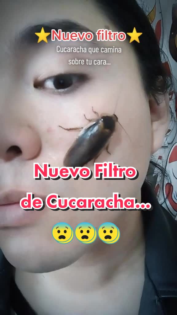 @El Cucarachero🪳🪳🪳