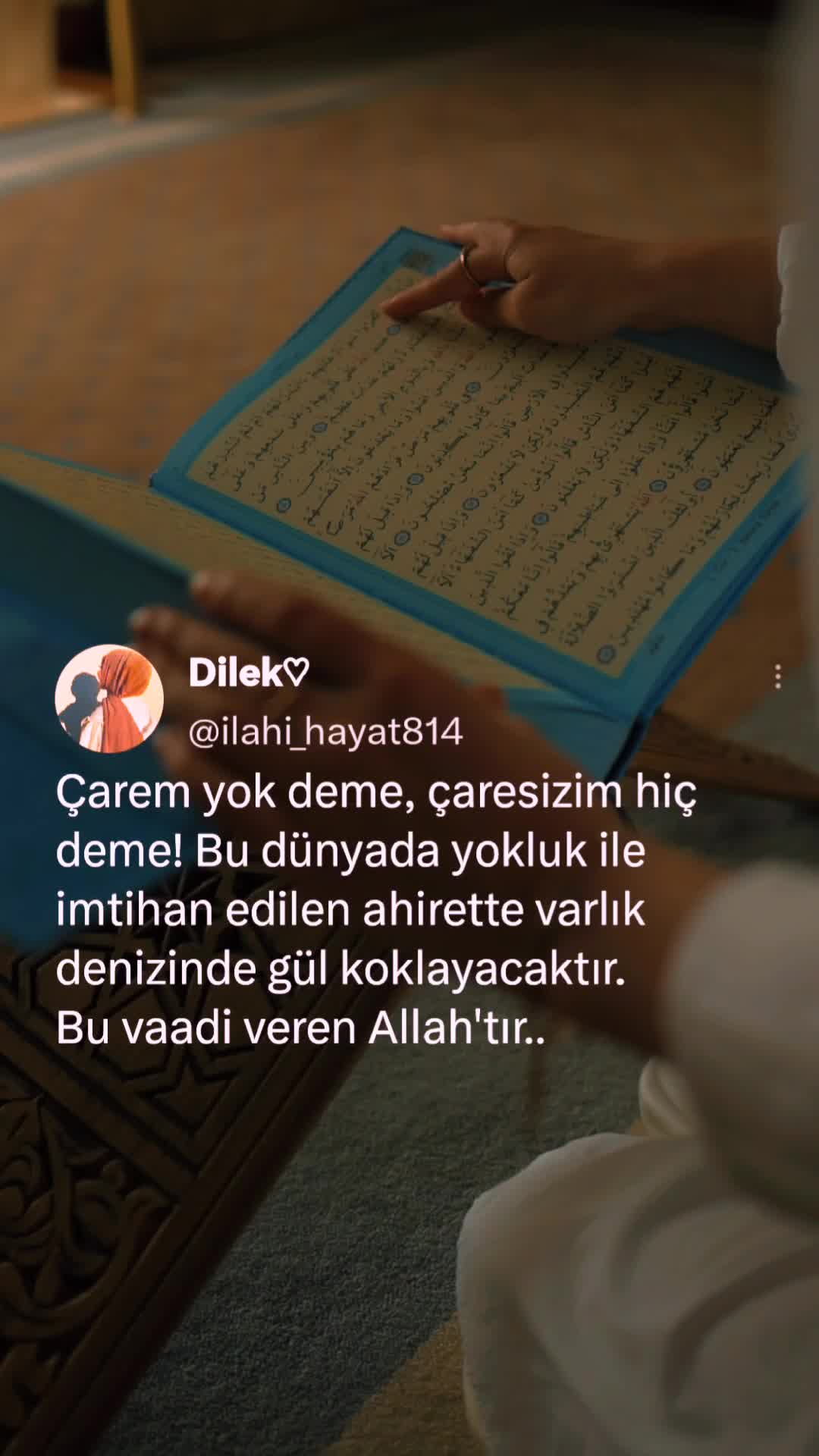 @𝓓𝓲𝓵𝓮𝓴 ♡