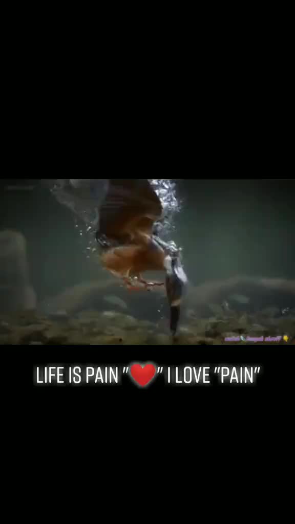 @NagarajRG555