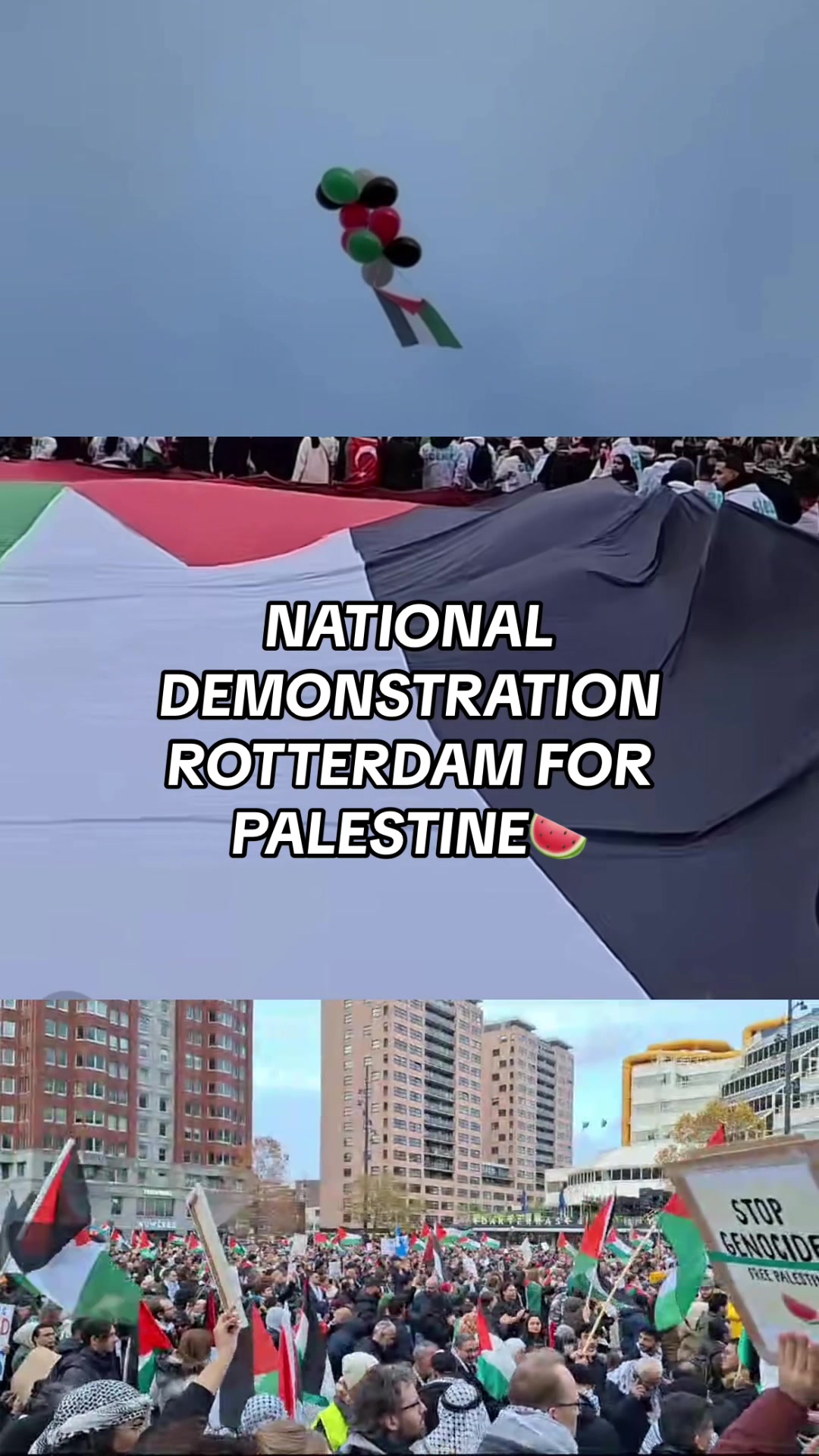 @Gokkie For Palestine