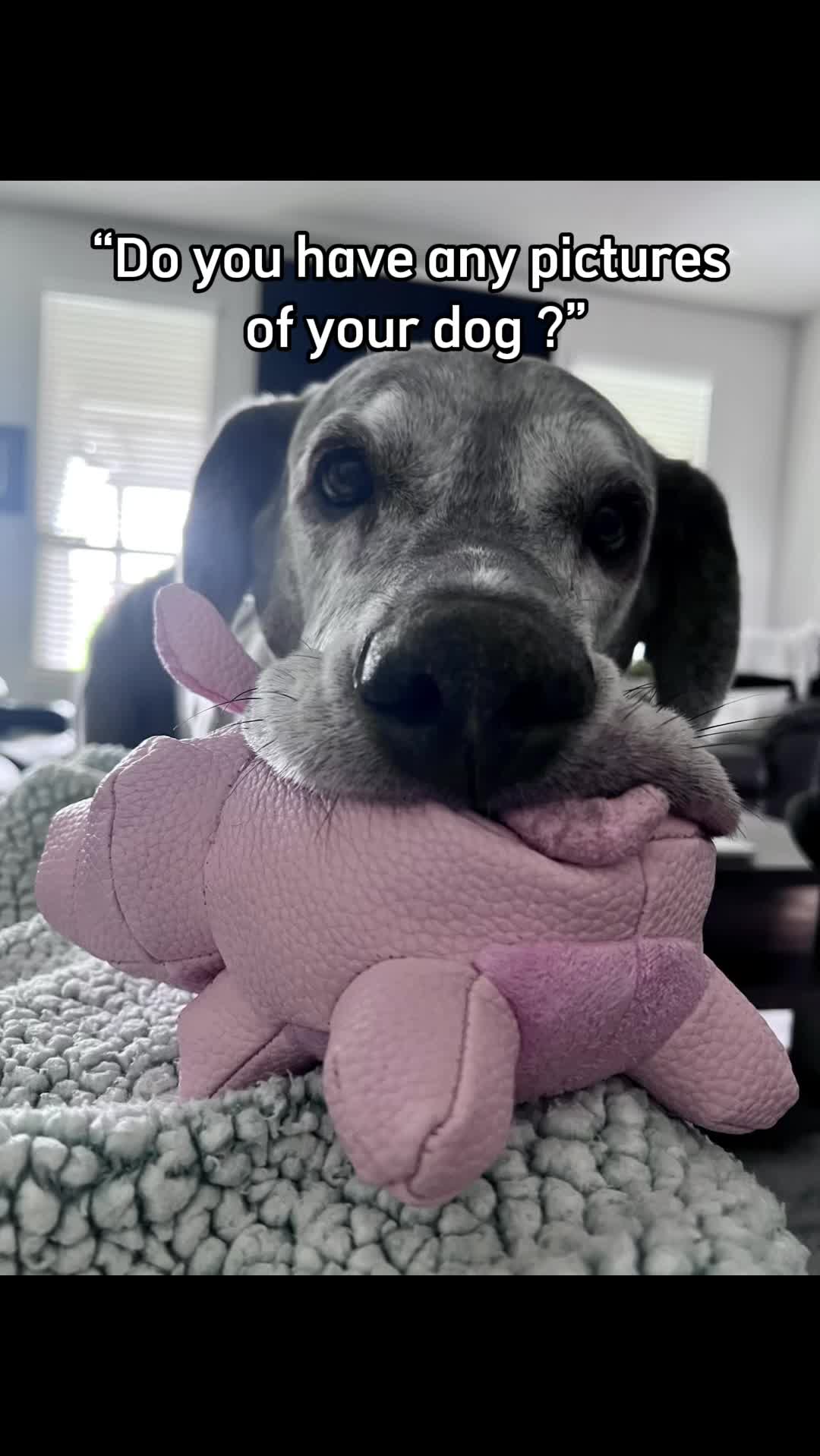 @Laura