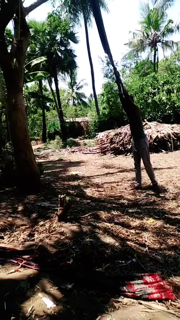 @Puli Premkumar