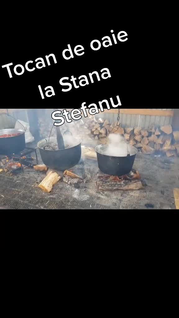 @Raluca Brezniceanu