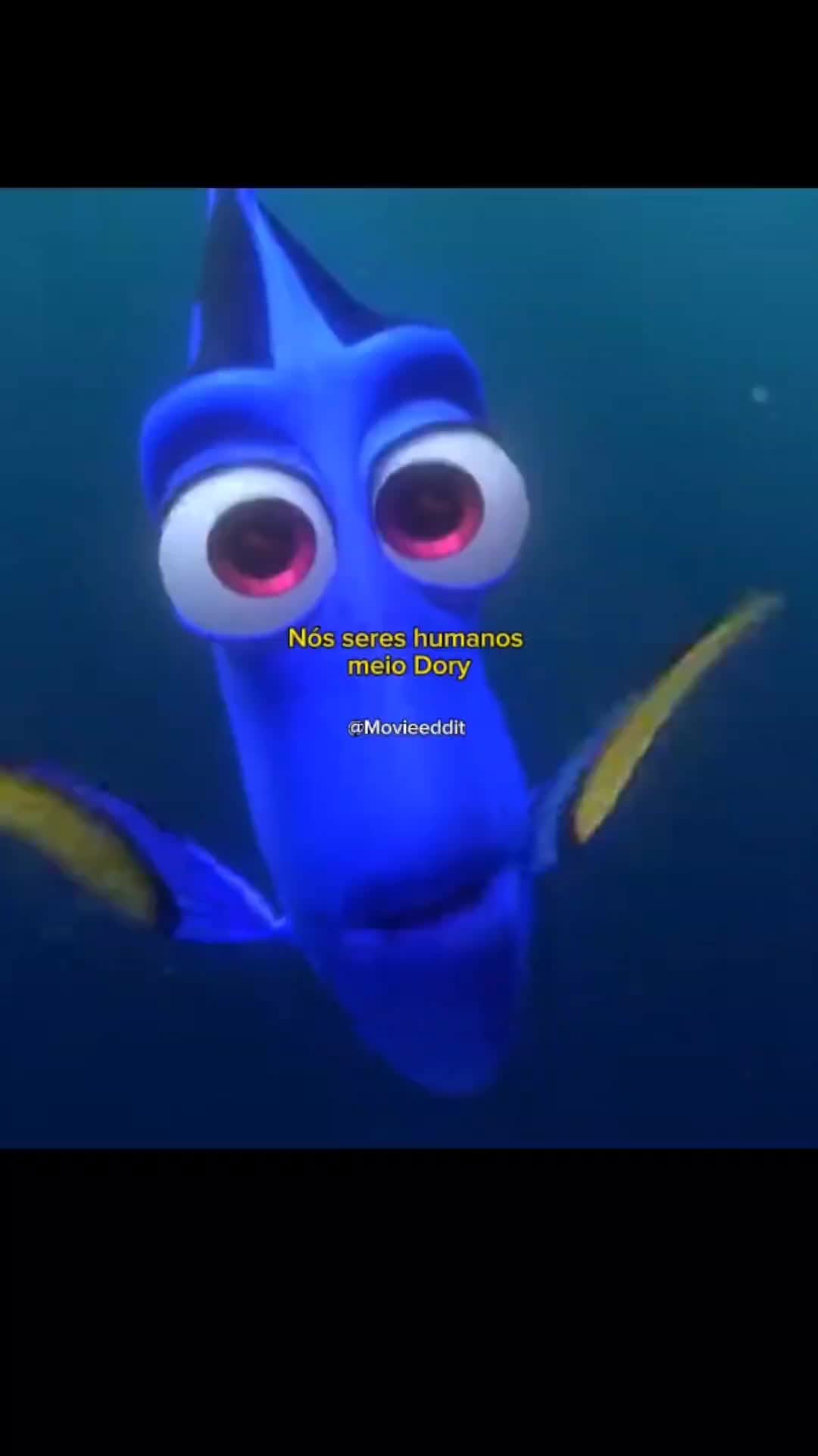 @MovieEddit