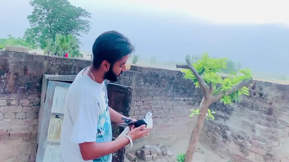 @Jaspreet Singh