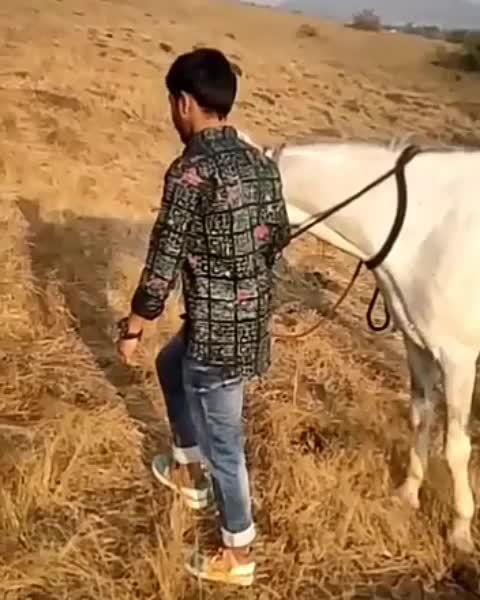 @mandeep_salaria_