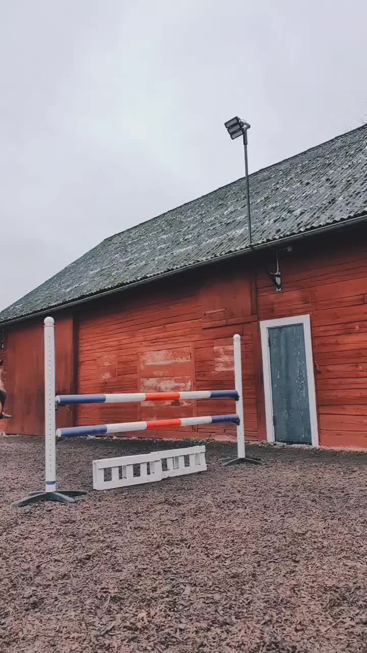 @Hästkonto 💓
