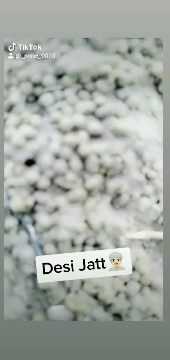 @👑Ravidasiya👑