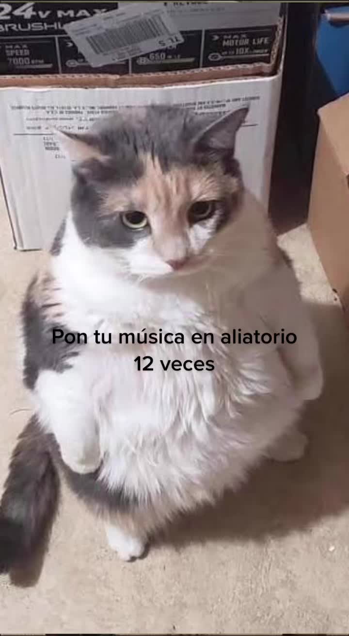 @Fernando