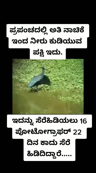 @Ranga Rajappa✔