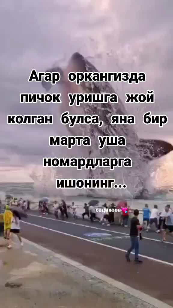 @mts999