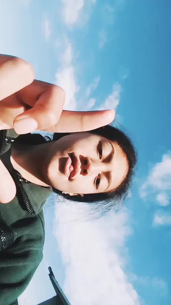 @Wiki Hokianga