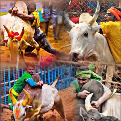 @ரஞ்சித்அய்யனார்குளம்