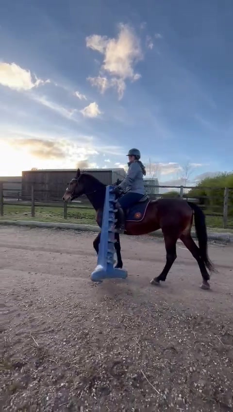 @A_G_Dressage