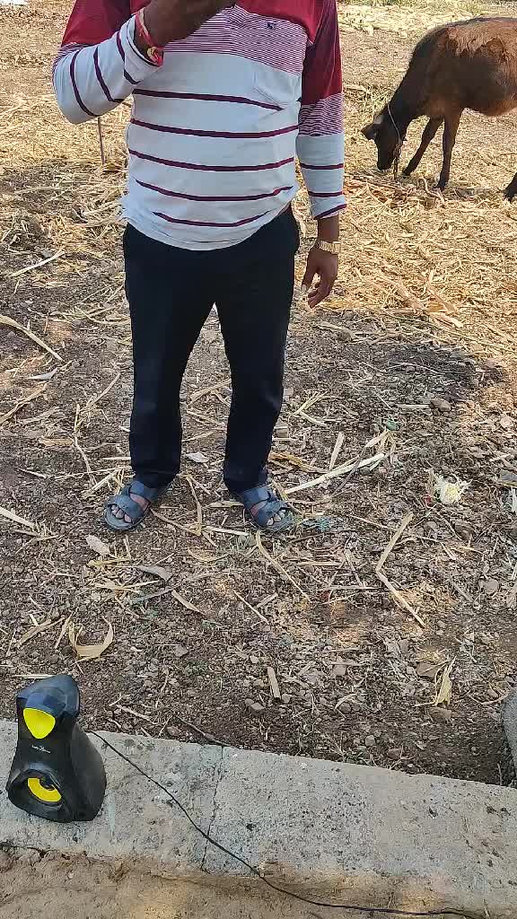 @Deepak Gangwani Dpk