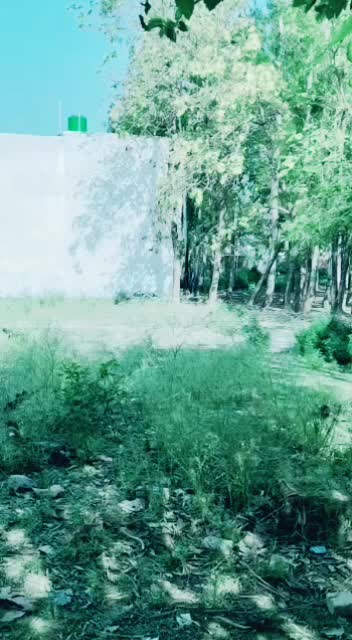 @Alok Awasthi