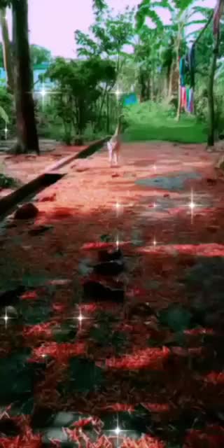 @Sumi Gogoi