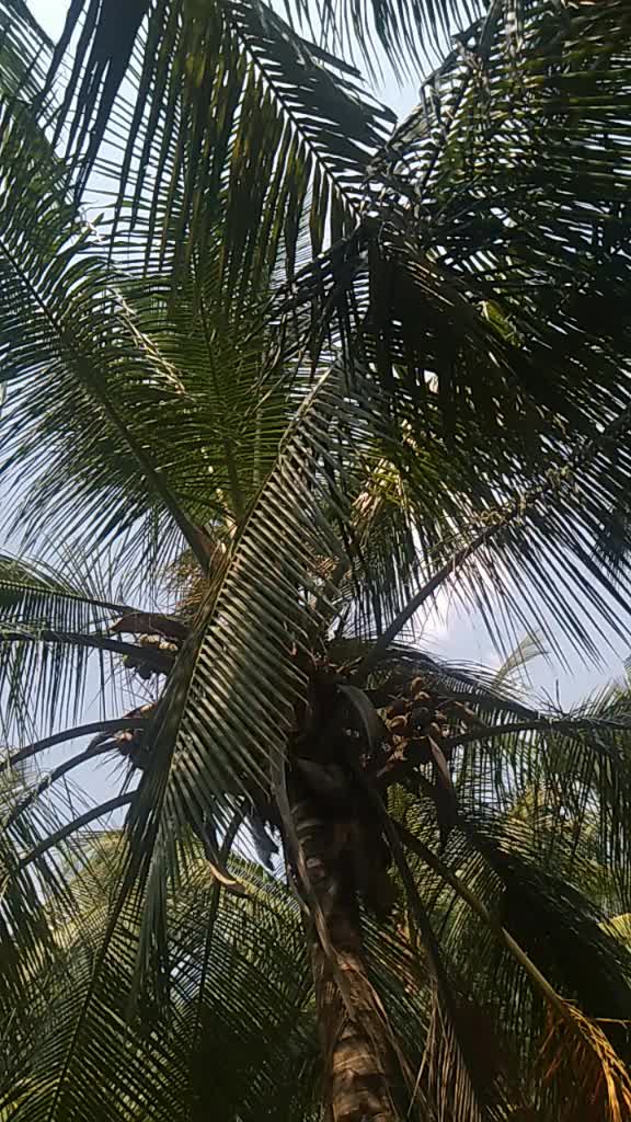 @குட்டி விசாகன்