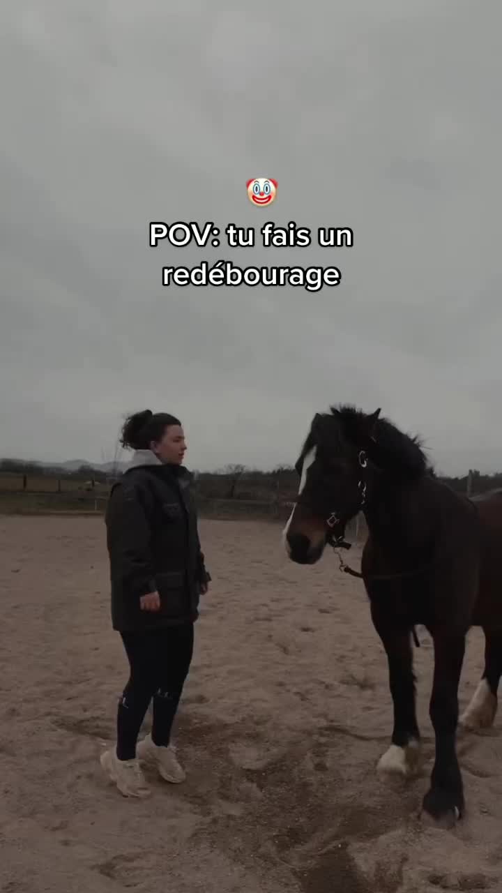 @Seren the pony 🐴