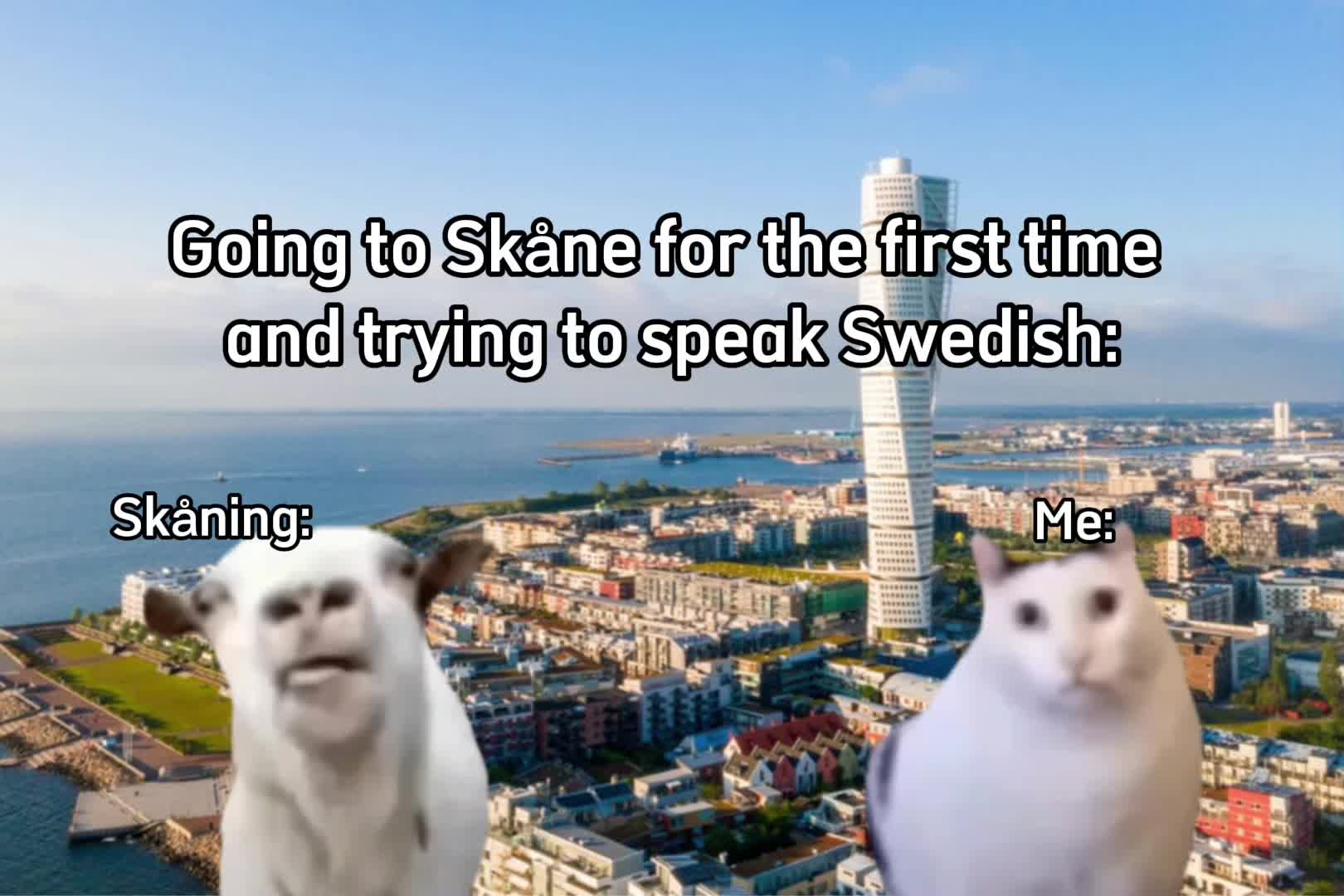 @Shaotime