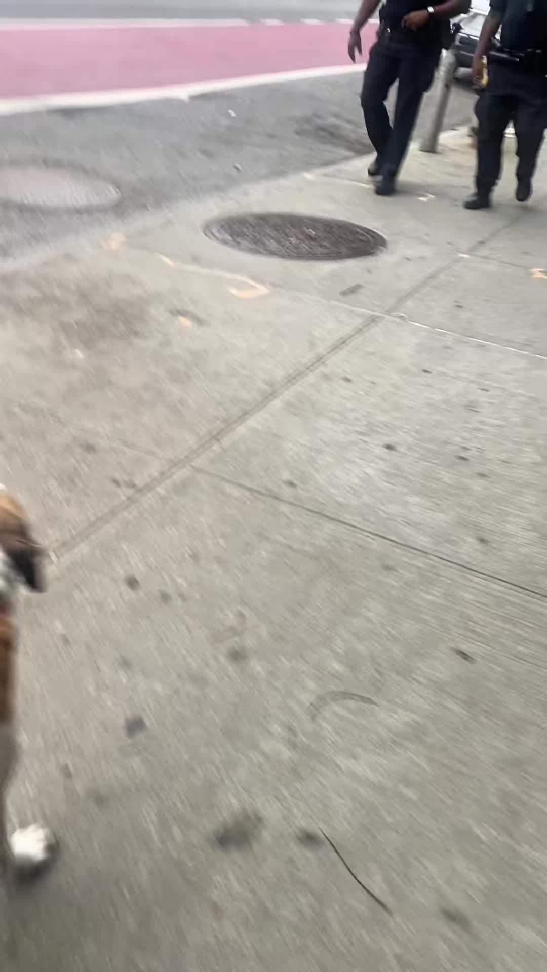@funnyvideo3782