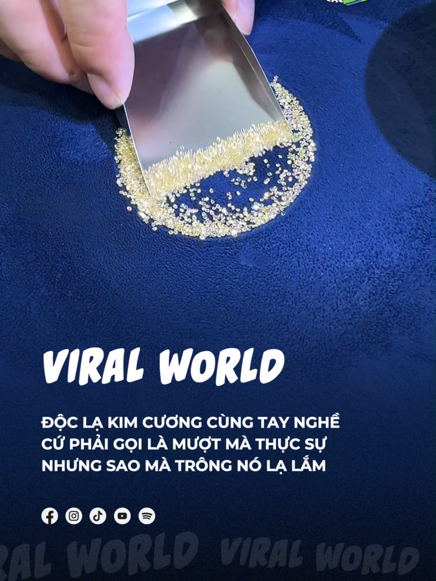 @Beatvn Viral World