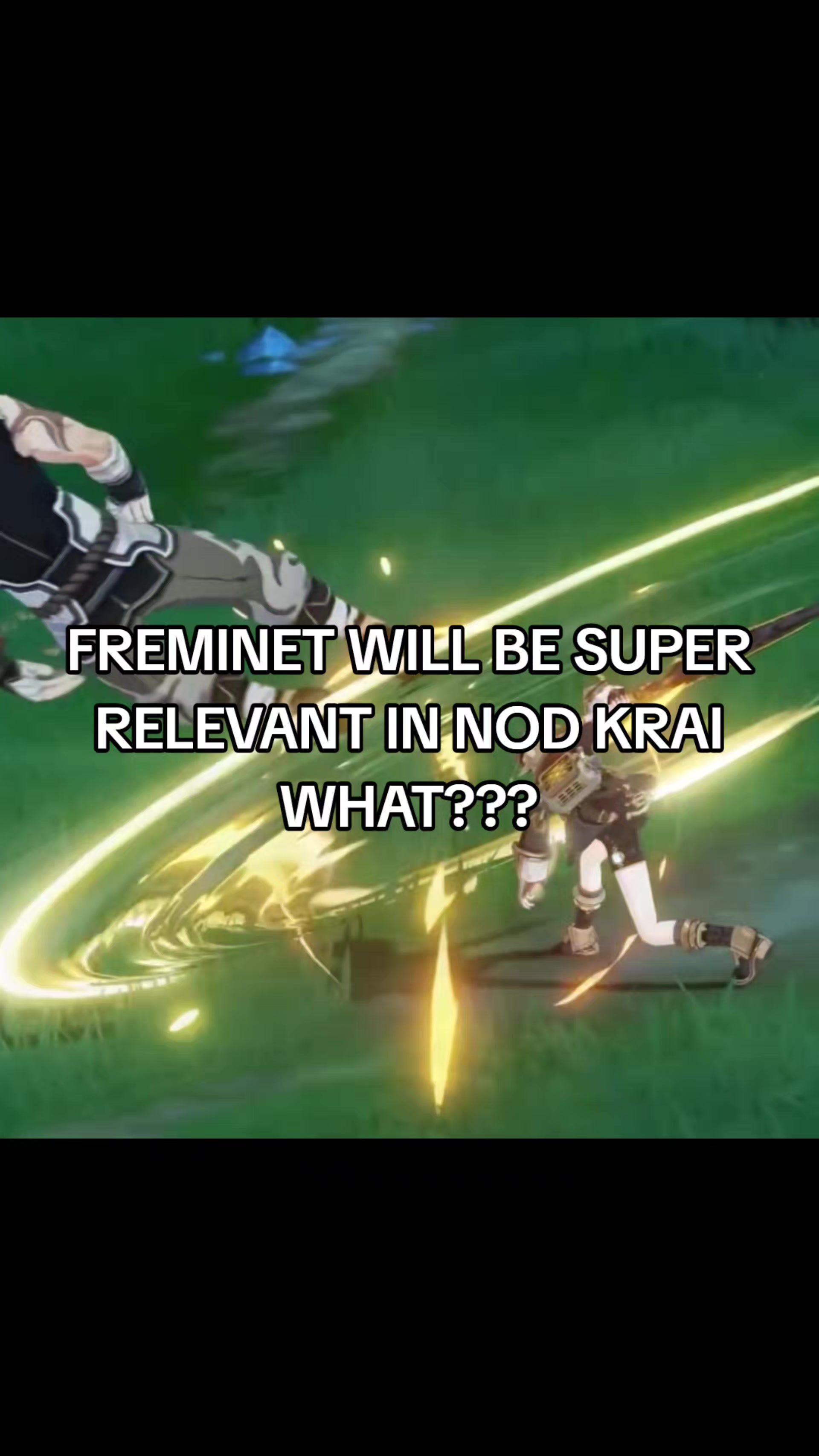 @freminet's lawyer