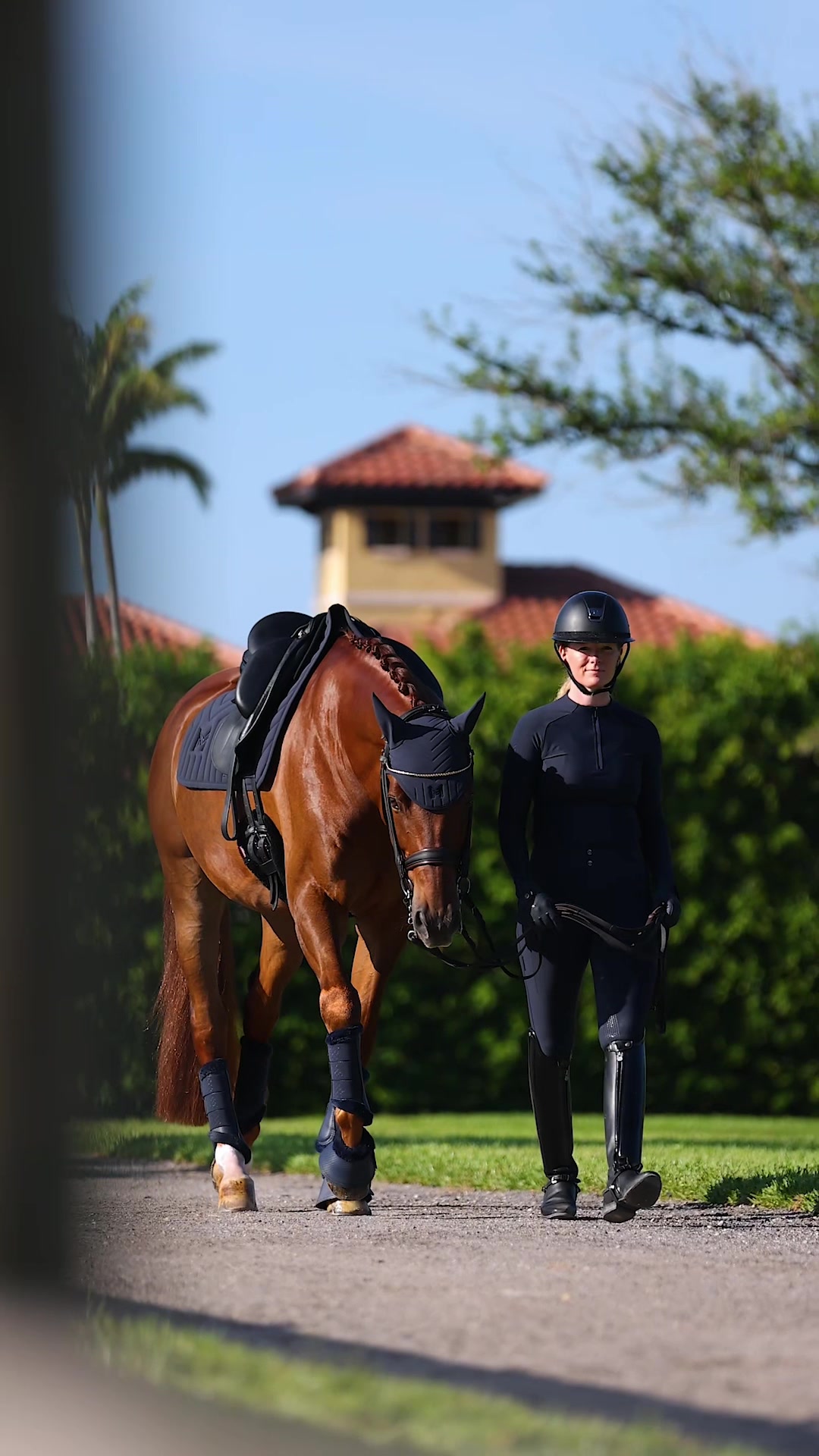 @Maximilian Equestrian