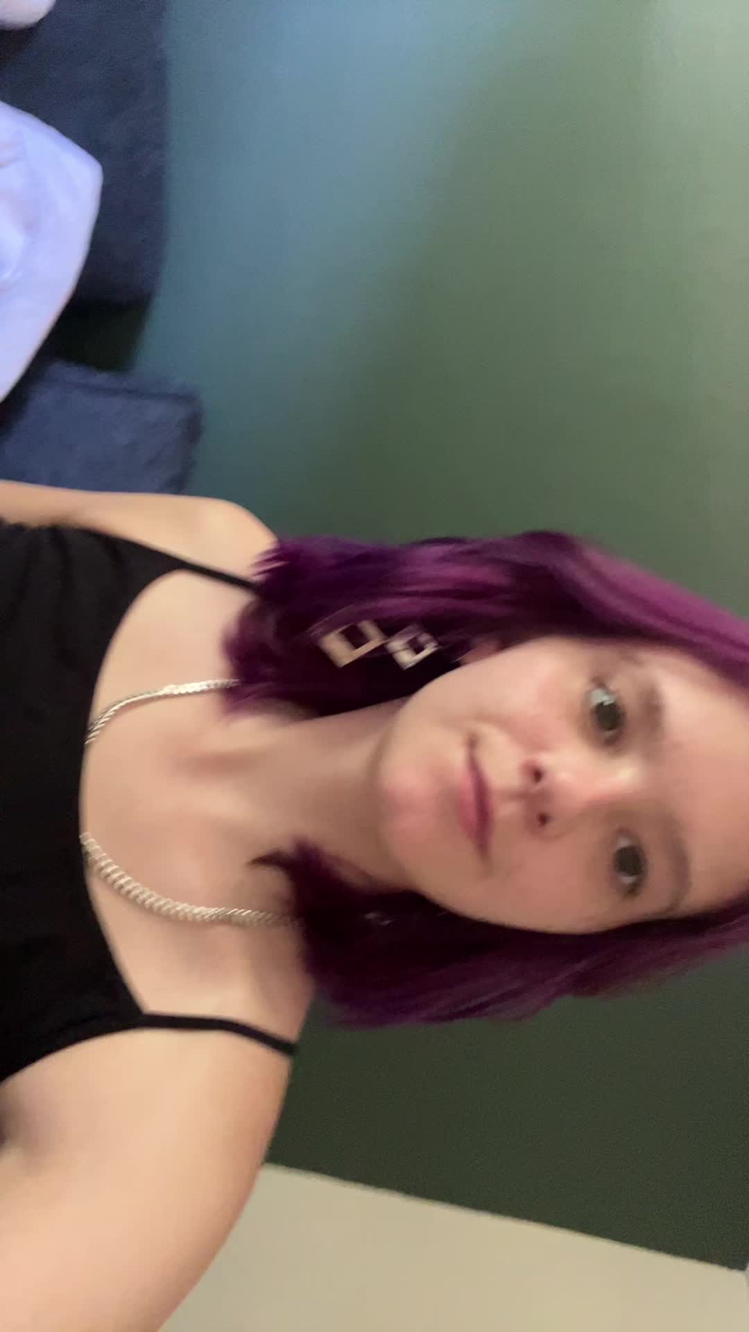@_jamielee_angel_pet_