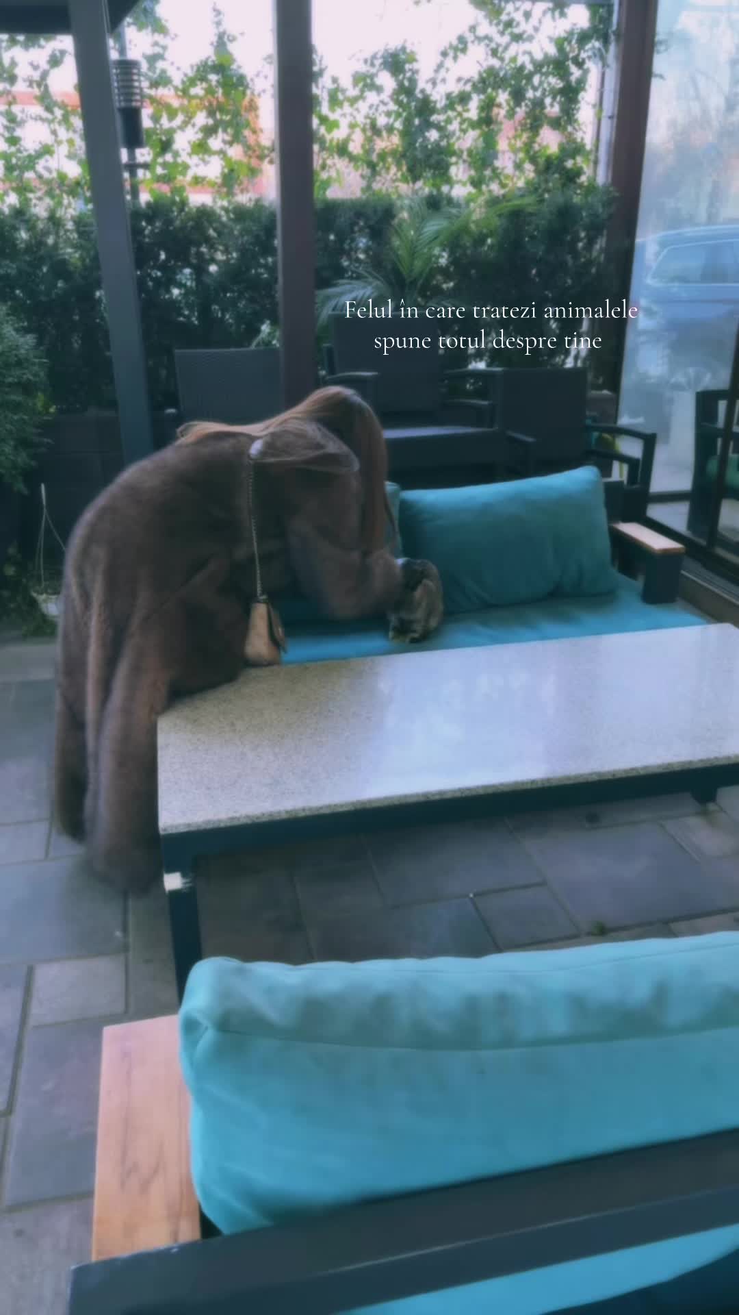 @♌️