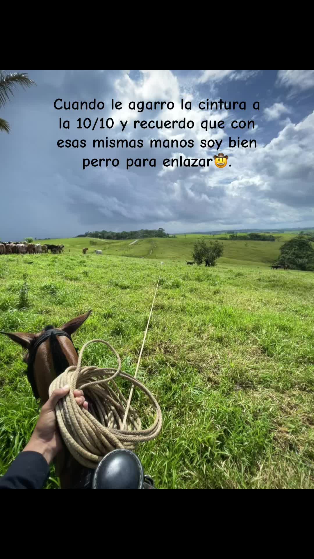 @MURCIA