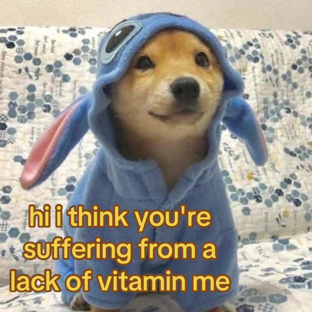 @The Bark Archive