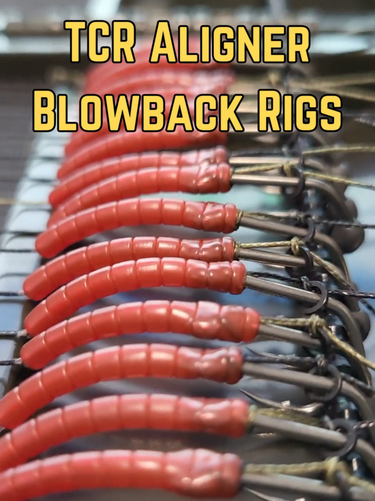 @Thats Carpy Rigs
