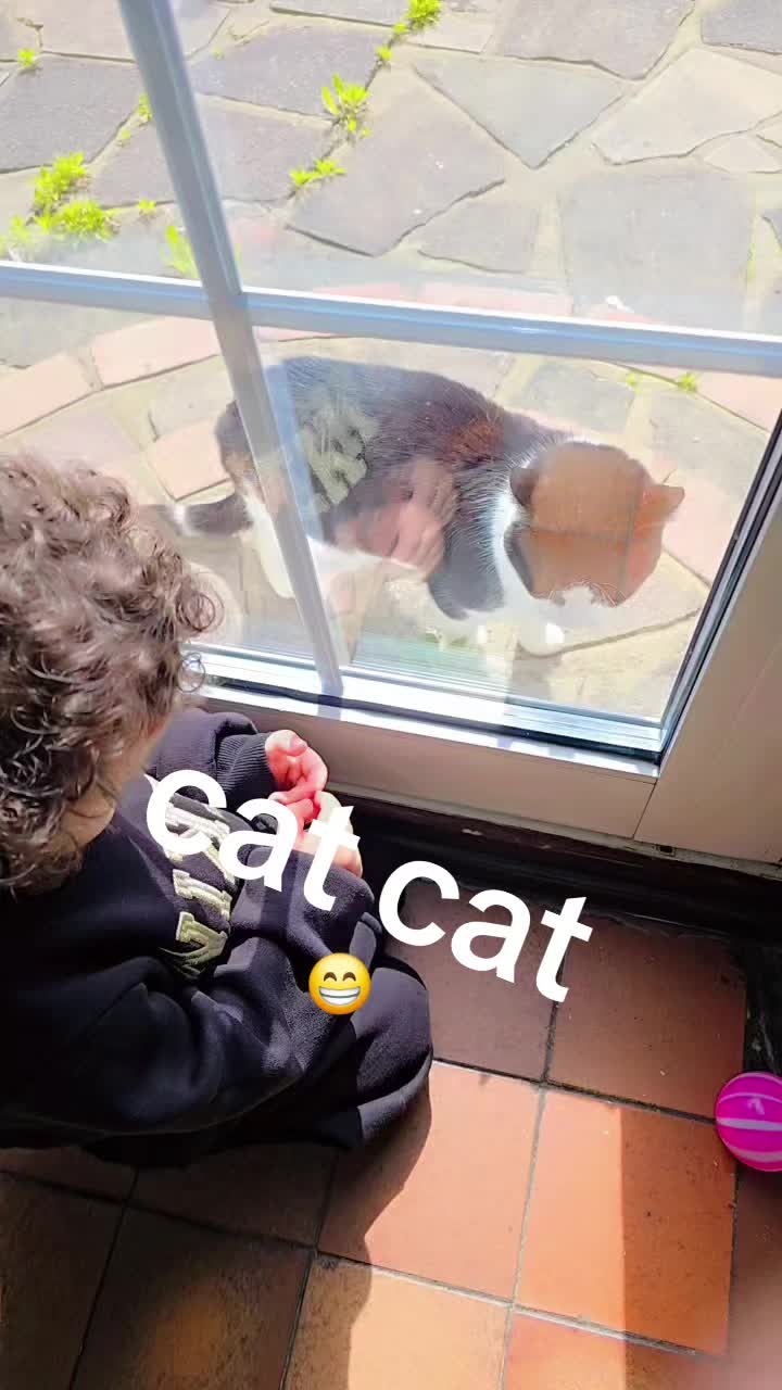 @kurali ben koyarim sen izlersn