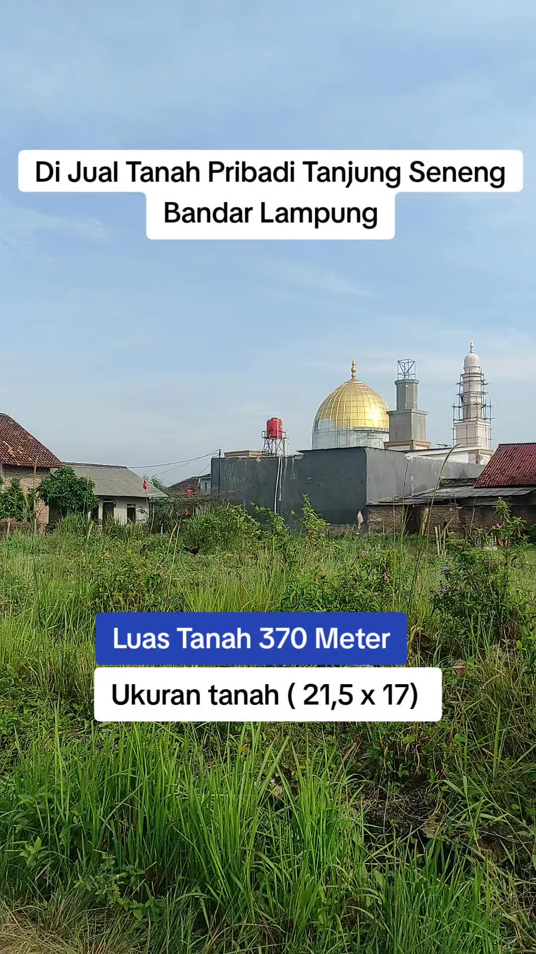 @Tanah pribadi Lampung