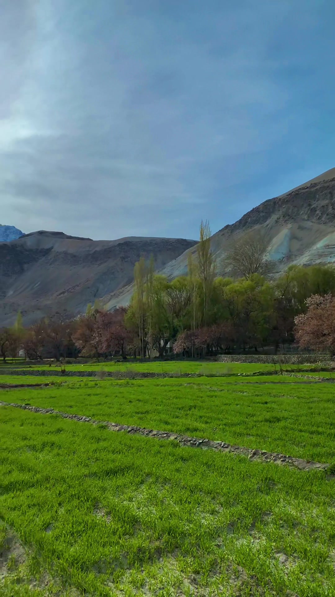 @𝙕𝙚𝙨𝙝𝙖𝙣 𝙂𝙖𝙡𝙡𝙚𝙧𝙮🏔️