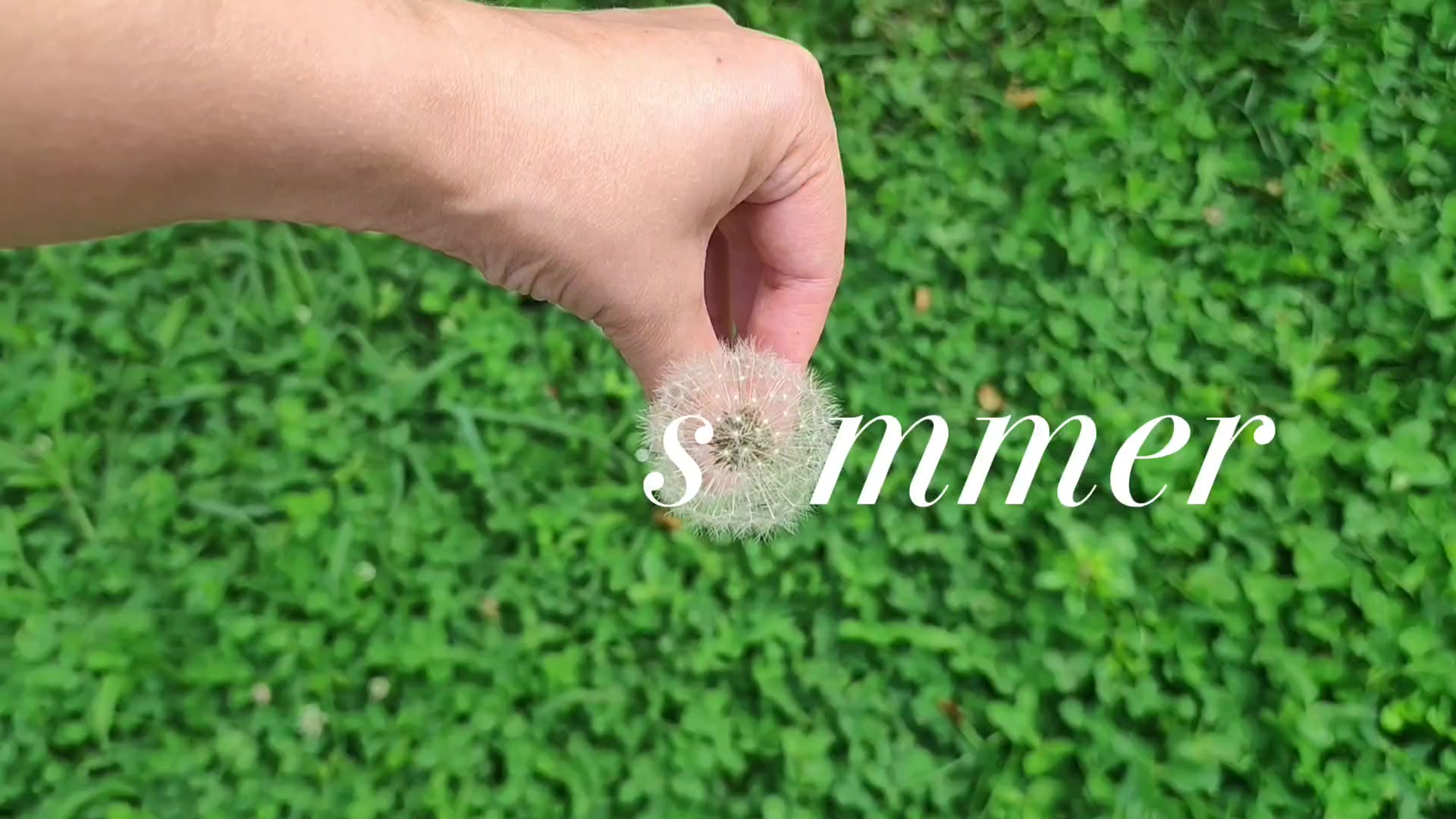 @✨живущая в фентези мире ✨
