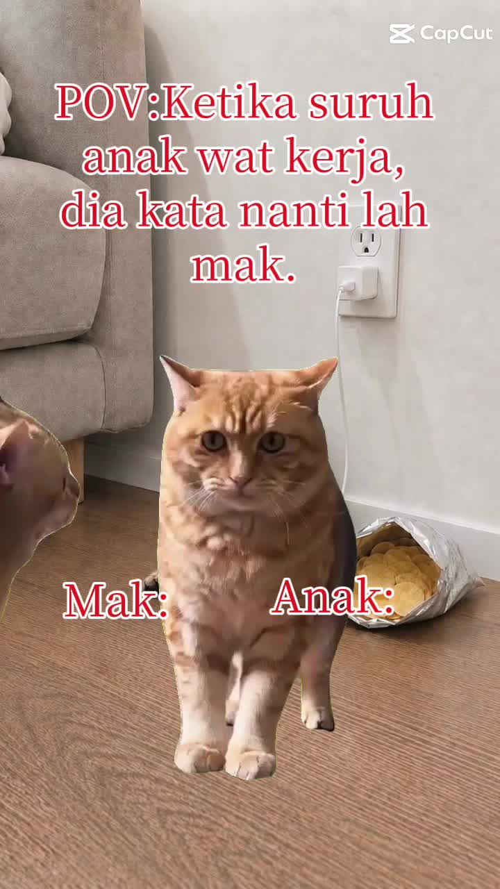 @hambaà
