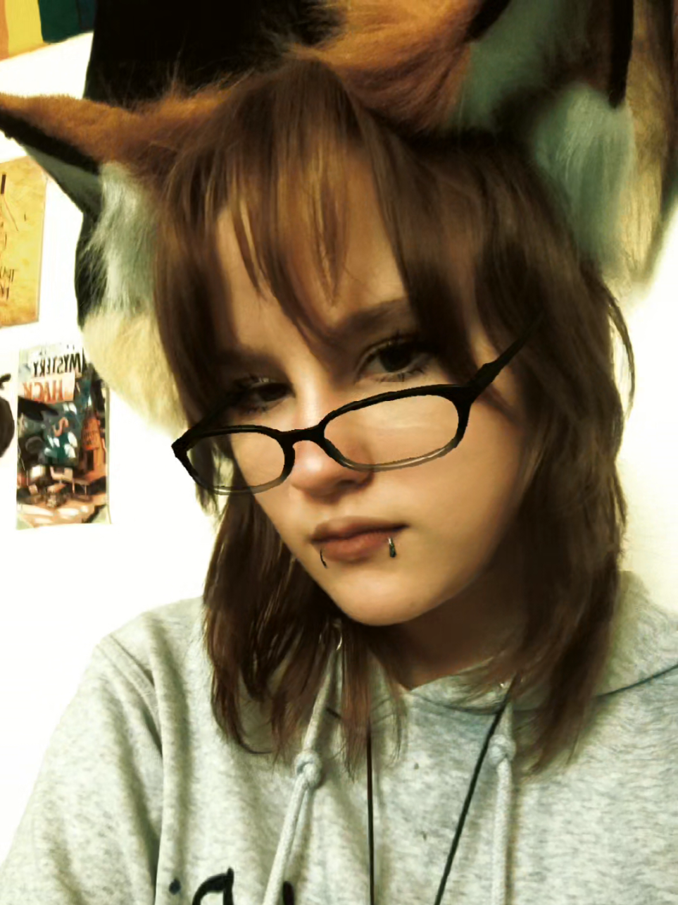 @Skylight_Fox