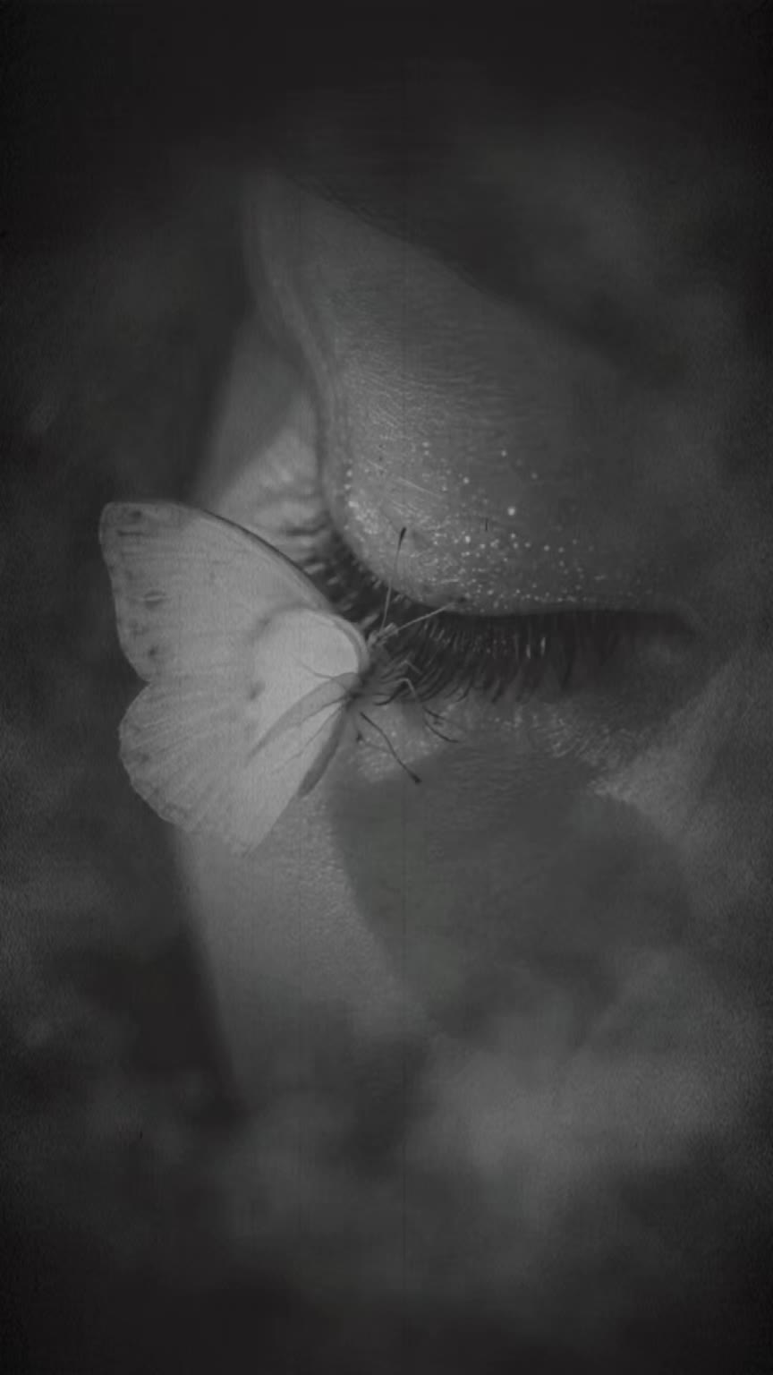 @๐ค_butterfly_๐ค