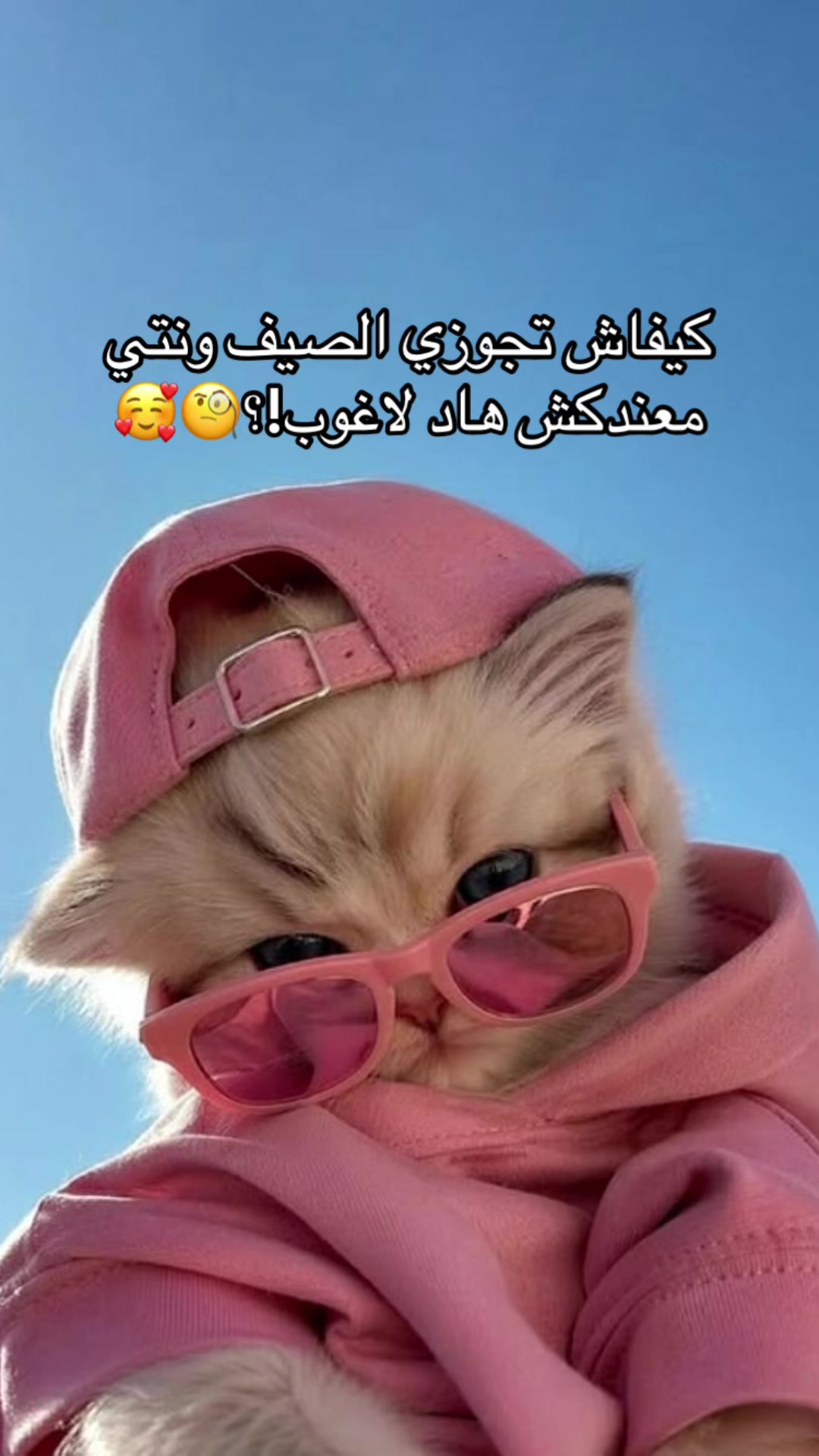 @Chaima Brand