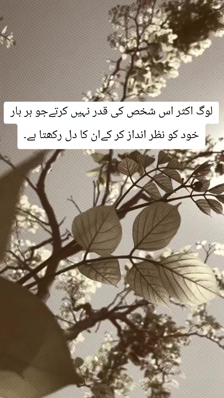 @❤️SoNyaKashif❤️