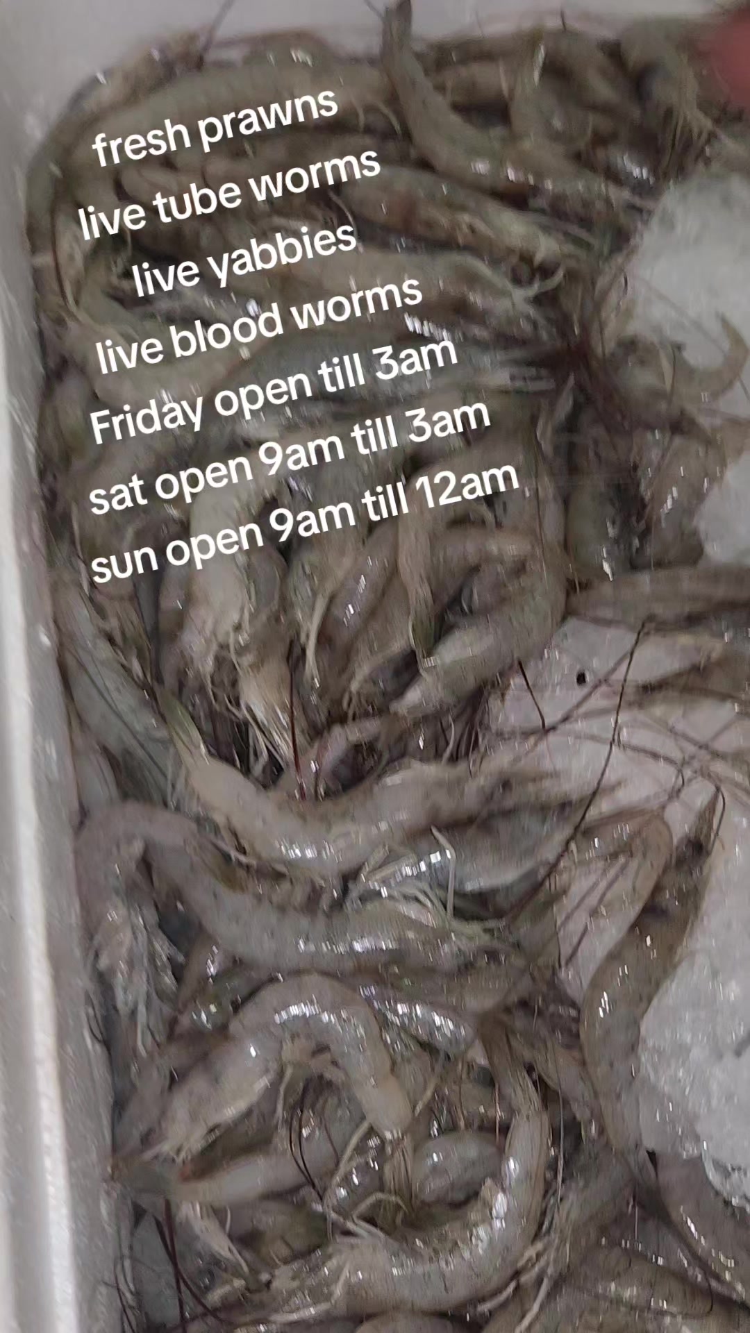 @FirstCallBait&Tackle🎣