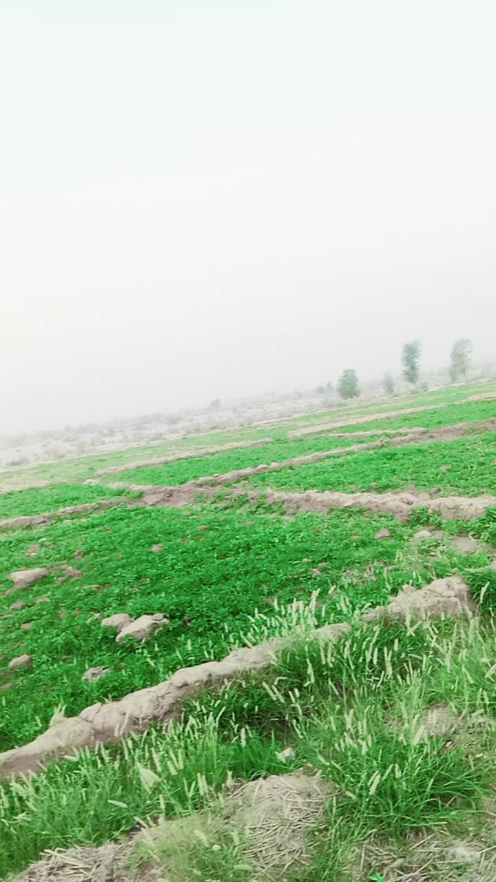 @irfan baloch ๐๐S๐ญ๐ญ