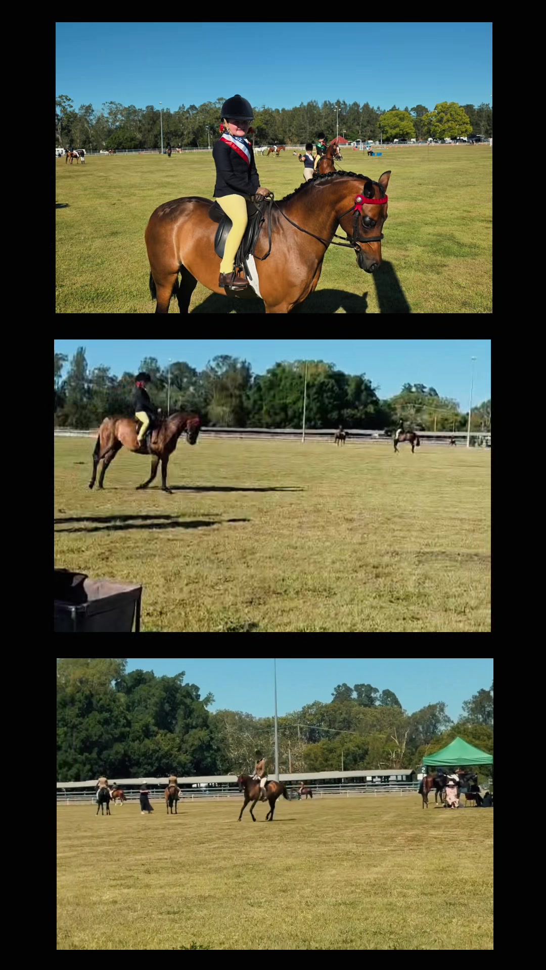 @RV Park Show Ponies