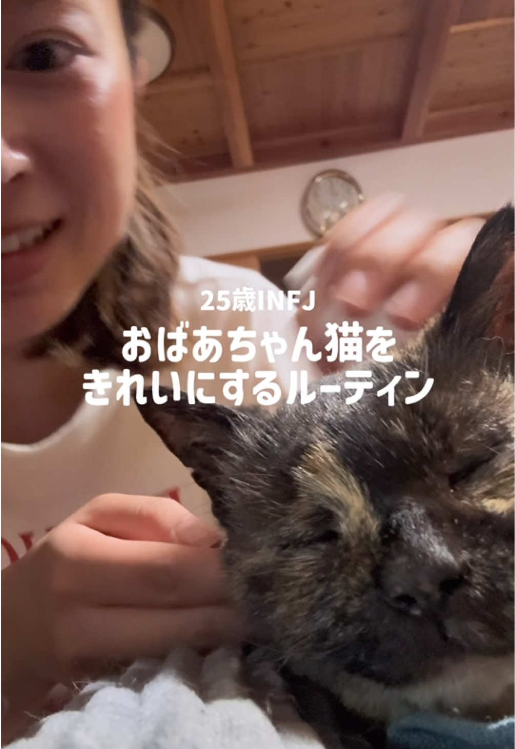 @毛玉ちゃん
