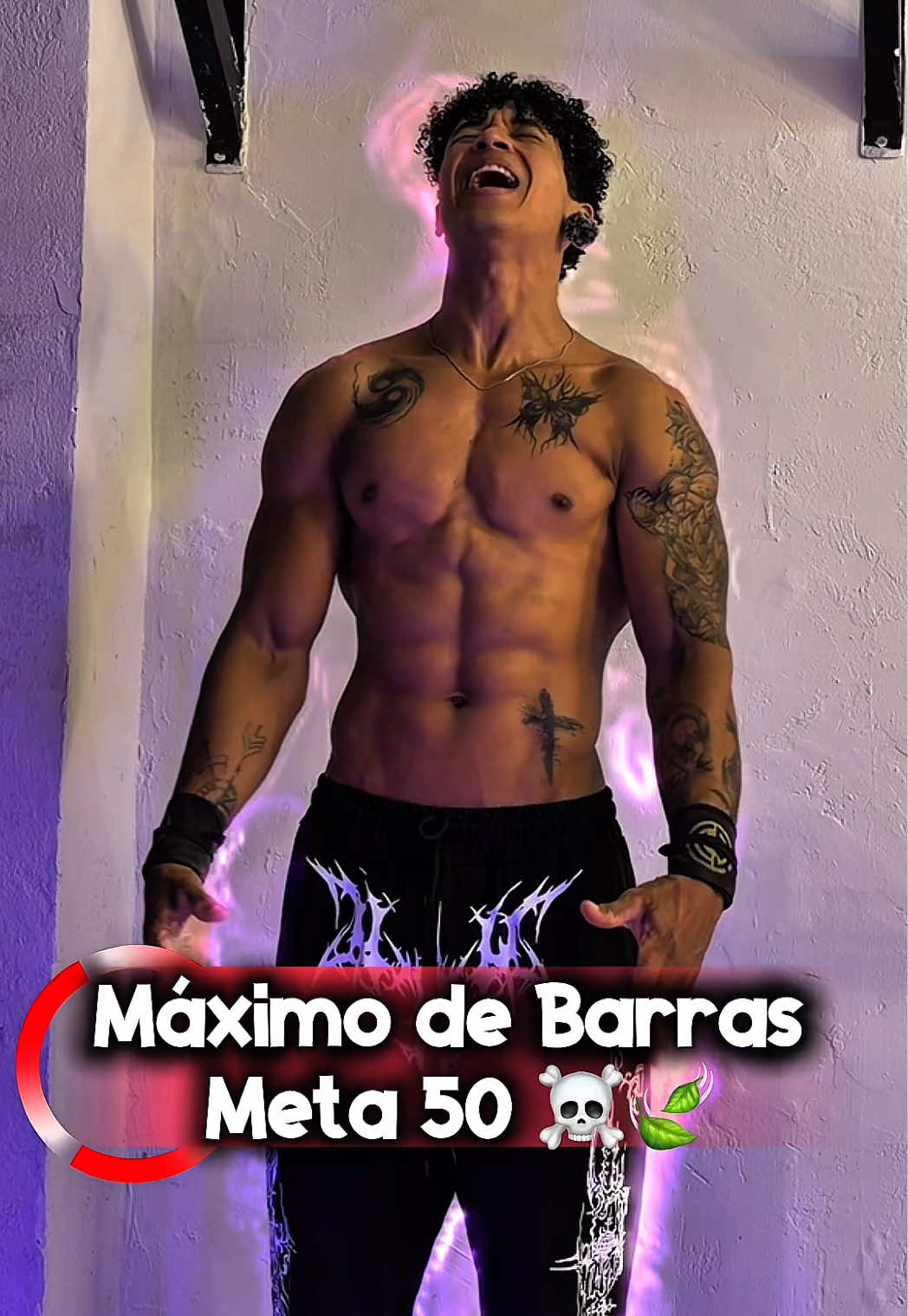 @Ricardo Calistenia