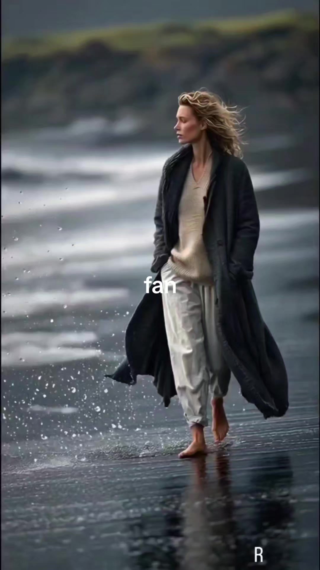 @fan